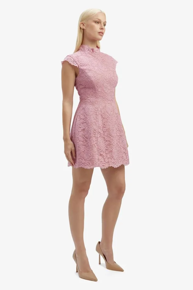 Bardot Party Dresses Andrea Lace Mini Dress In Dusty Pink 8211 Women Bardot Party Dresses Andrea Lace Mini Dress In Dusty Pink 8211 Women