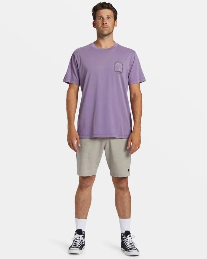 Billabong Wave Washed Essentials Vacay TShirt Dusty Grape 8211 Men Billabong Wave Washed Essentials Vacay TShirt Dusty Grape 8211 Men