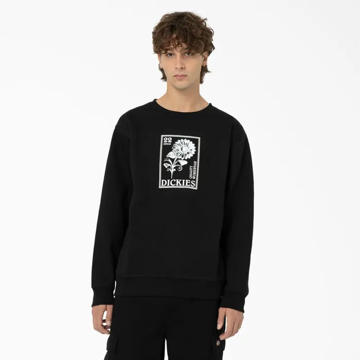 Dickies Hoodies and Sweatshirts Garden Plain Graphic Sweatshirt Black Black kbk 8211 Men Dickies Hoodies and Sweatshirts Garden Plain Graphic Sweatshirt Black Black kbk 8211 Men