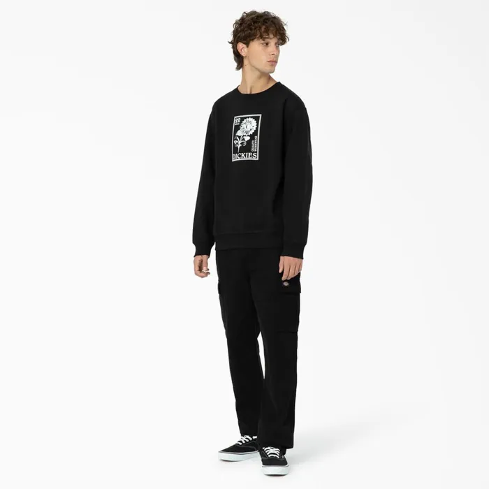 Dickies Hoodies and Sweatshirts Garden Plain Graphic Sweatshirt Black Black kbk 8211 Men Dickies Hoodies and Sweatshirts Garden Plain Graphic Sweatshirt Black Black kbk 8211 Men