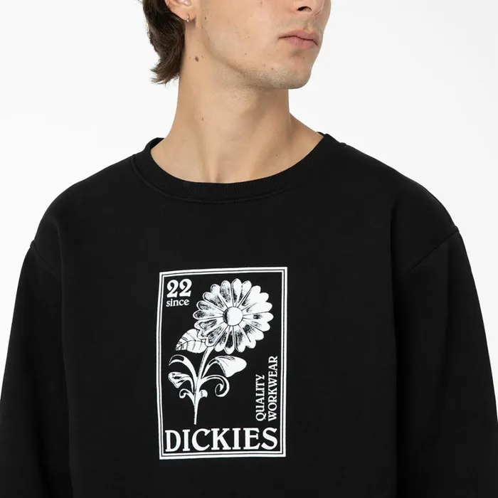Dickies Hoodies and Sweatshirts Garden Plain Graphic Sweatshirt Black Black kbk 8211 Men Dickies Hoodies and Sweatshirts Garden Plain Graphic Sweatshirt Black Black kbk 8211 Men