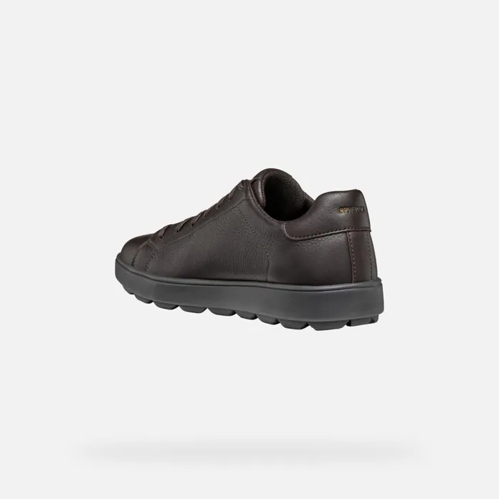 Geox Sneakers SPHERICA ECUB1 MAN Dark Brown Low Top Sneakers Dark Brown 8211 Man