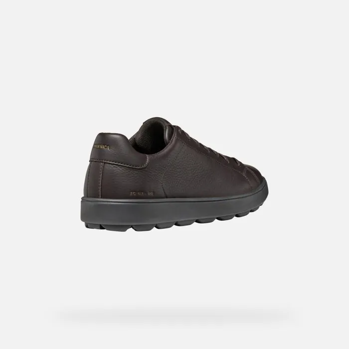 Geox Sneakers SPHERICA ECUB1 MAN Dark Brown Low Top Sneakers Dark Brown 8211 Man