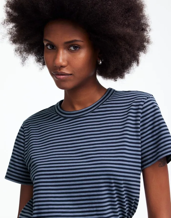 Madewell Cotton Perfect Crewneck Tee Teapot Blue Women Tees