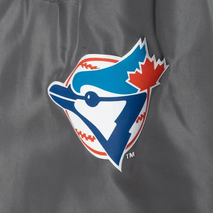 Men039s Shorts Mitchell and Ness Insignia Shorts Toronto Blue Jays Men039s Shorts Mitchell and Ness Insignia Shorts Toronto Blue Jays