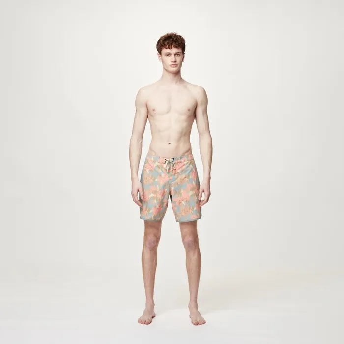 Men ANDY HERITAGE P 17 BRDS Picture Organic Clothing Shorts