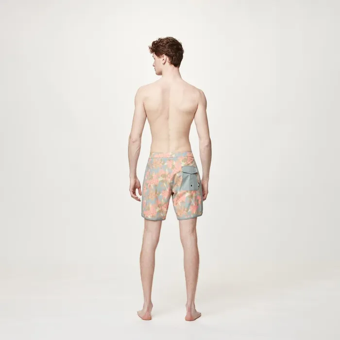 Men ANDY HERITAGE P 17 BRDS Picture Organic Clothing Shorts