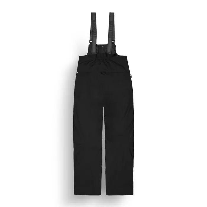 Men AVENING BIB PANTS Picture Organic Clothing Snow Pants