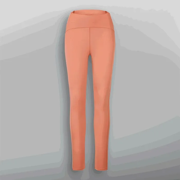 Woman CIDELLE 78 TECH LEGGINGS Picture Organic Clothing Leggings