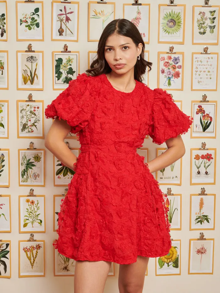 Women Sister Jane Dresses DREAM Doris Floral Mini Dress Poppy Red