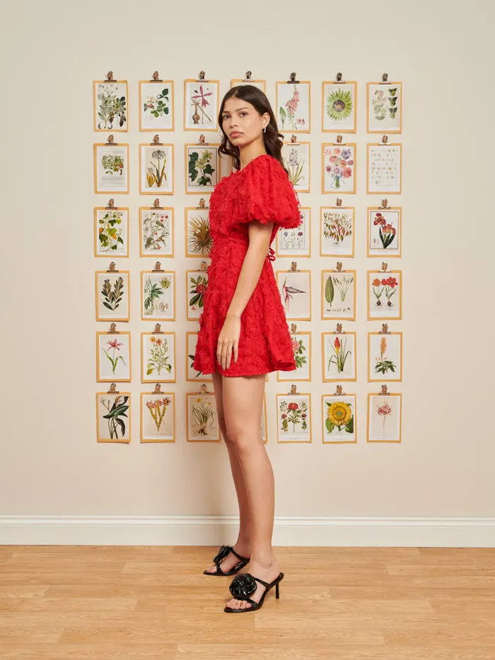 Women Sister Jane Dresses DREAM Doris Floral Mini Dress Poppy Red