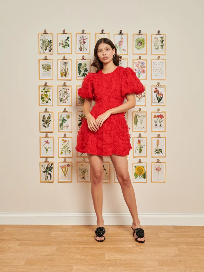 Women Sister Jane Dresses DREAM Doris Floral Mini Dress Poppy Red