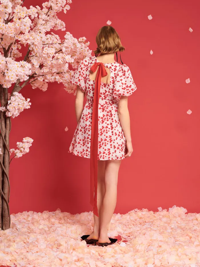 Women Sister Jane Dresses DREAM Sakura Jacquard Mini Dress White U0026 Red