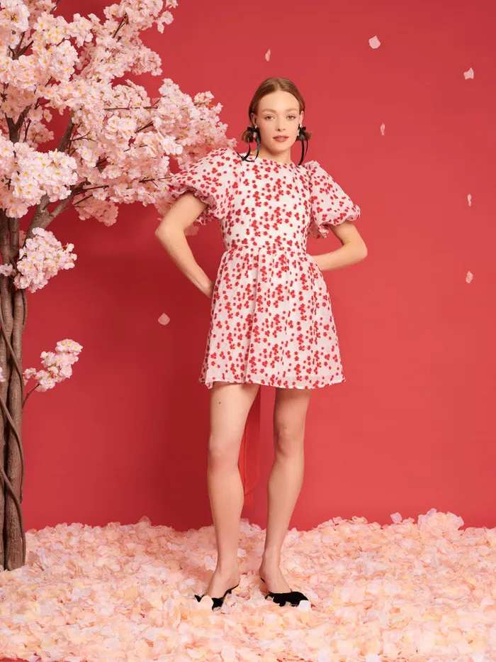 Women Sister Jane Dresses DREAM Sakura Jacquard Mini Dress White U0026 Red