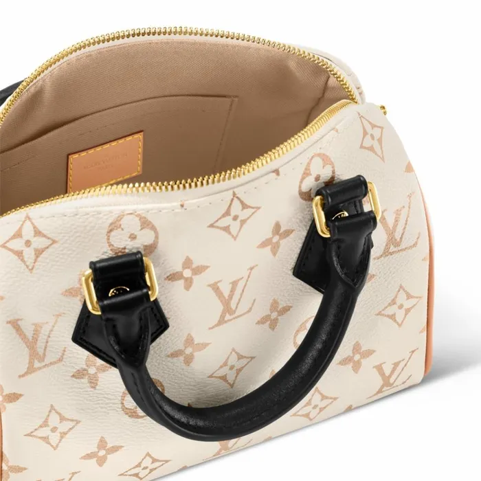 Women Speedy Bag Louis Vuitton Louis Vuitton M46906 Speedy Bandoulire 20 8211 Louis Vuitton Handbag Store